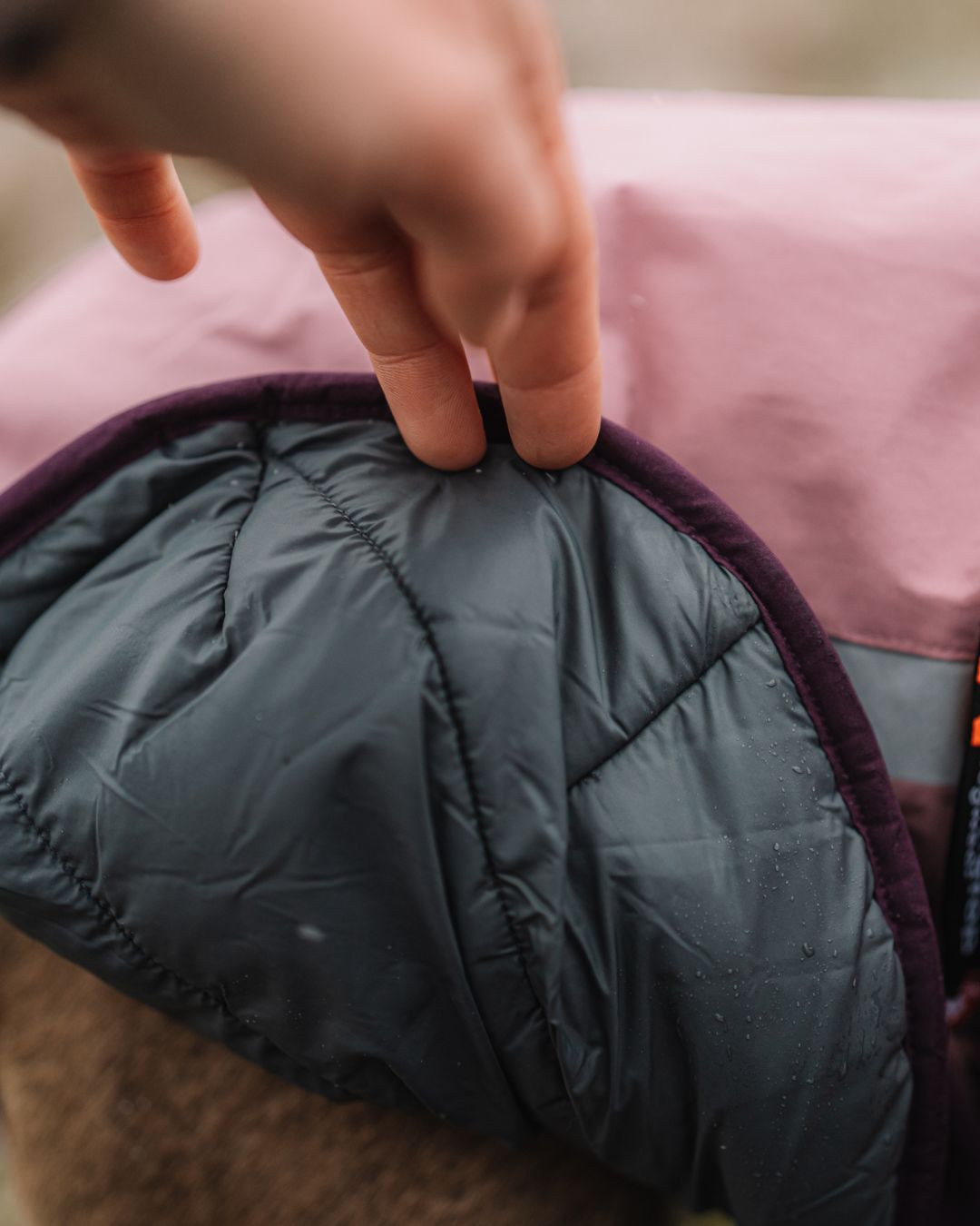 Glacier 3.0 dog jacket